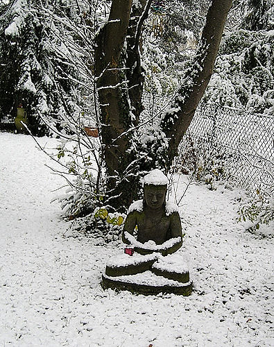 Der Winterschlaf kann kommen!